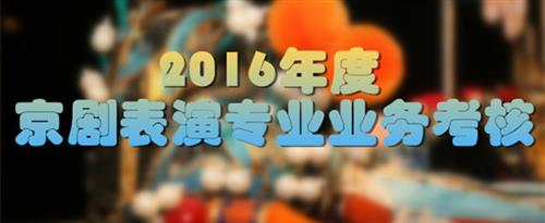 色欲色香天天天综合网站寡妇国家京剧院2016年度京剧表演专业业务考...